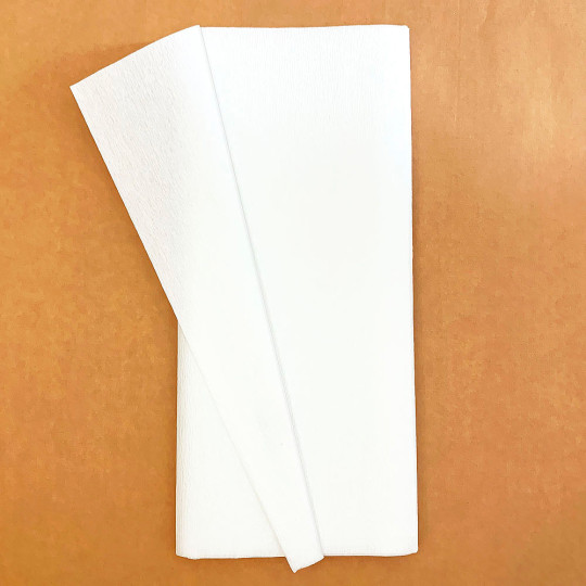 Double Sided Crepe Paper ~ Gloria Doublette from Germany ~ White